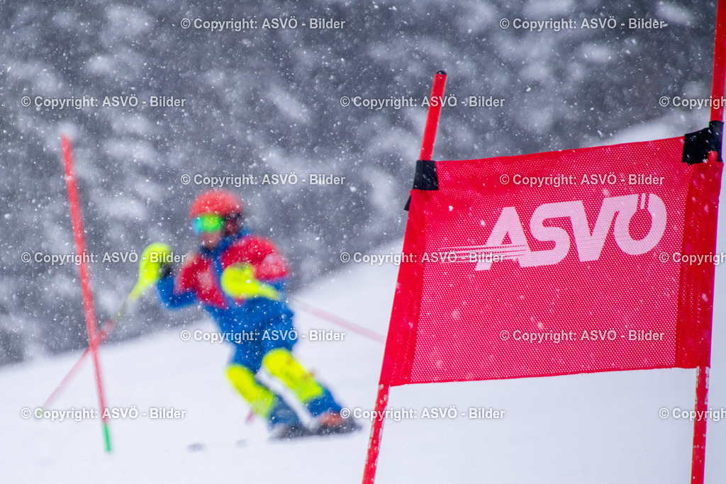 ASVÖ_ Skiclub Saalbach Hinterglemm_ 17.02.2026-58 | 17.02.2026, Saalbach, AUT, ASVÖ und Ski Austria 2026 im Bild TeilnehmerSkiclub Saalbach HinterglemmFotos ©: ASVÖ, Harald B.Bearbeitung ©: Harald Dostal / fodo.media - Realisiert mit Pictrs.com