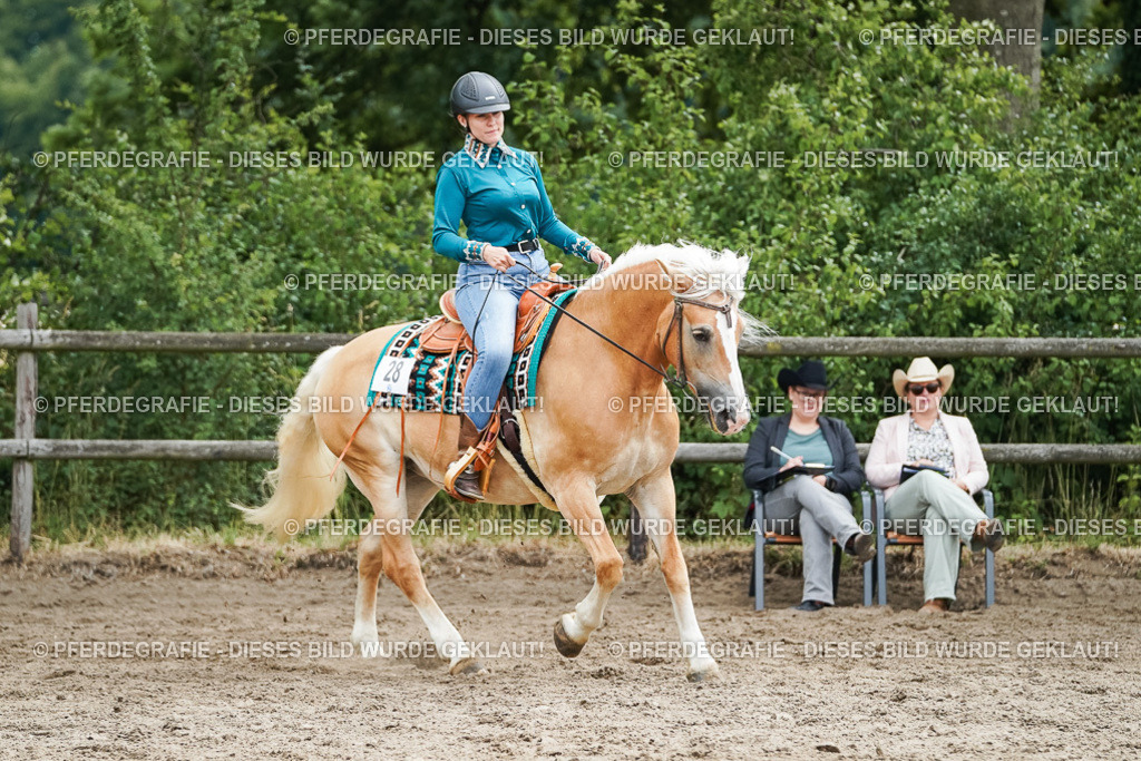 DSC04242 | Pferdegrafie