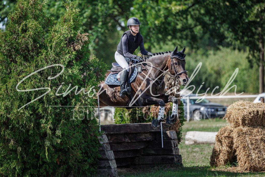 20260905-_3LI9546 | Tierfotografie Pferde, Hunde, Katzen, Haustiere.
Turnierfotografie Reitturniere, Reiten, Springreiten, Dressur in Hanau, dem Main-Kinzig-Kreis und dem Rhein-Main- Gebiet um Frankfurt