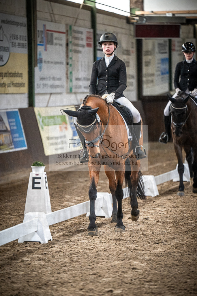 DOS_0204 | Entdecke hochwertige Reitturnierfotos von Foto Oger. Professionell, emotional und authentisch – jetzt Lieblingsmomente im Shop bestellen.Deutschlandweite Turnierfotografie. - Realisiert mit Pictrs.com
