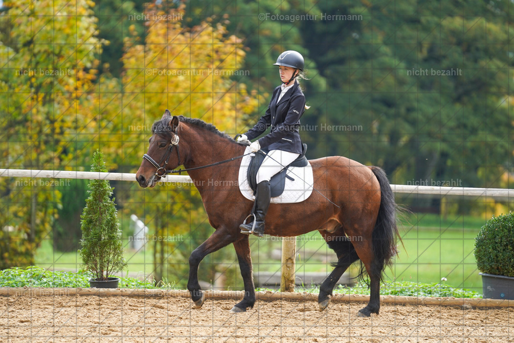 20221008-FAH01186 | Diessen am Ammersee, 2022, Dressur- und Springturnier, Reitsportbilder, Turnierfotografen Bayern, Pferdefotografen, Fotoagentur Herrmann, Turnierbilder