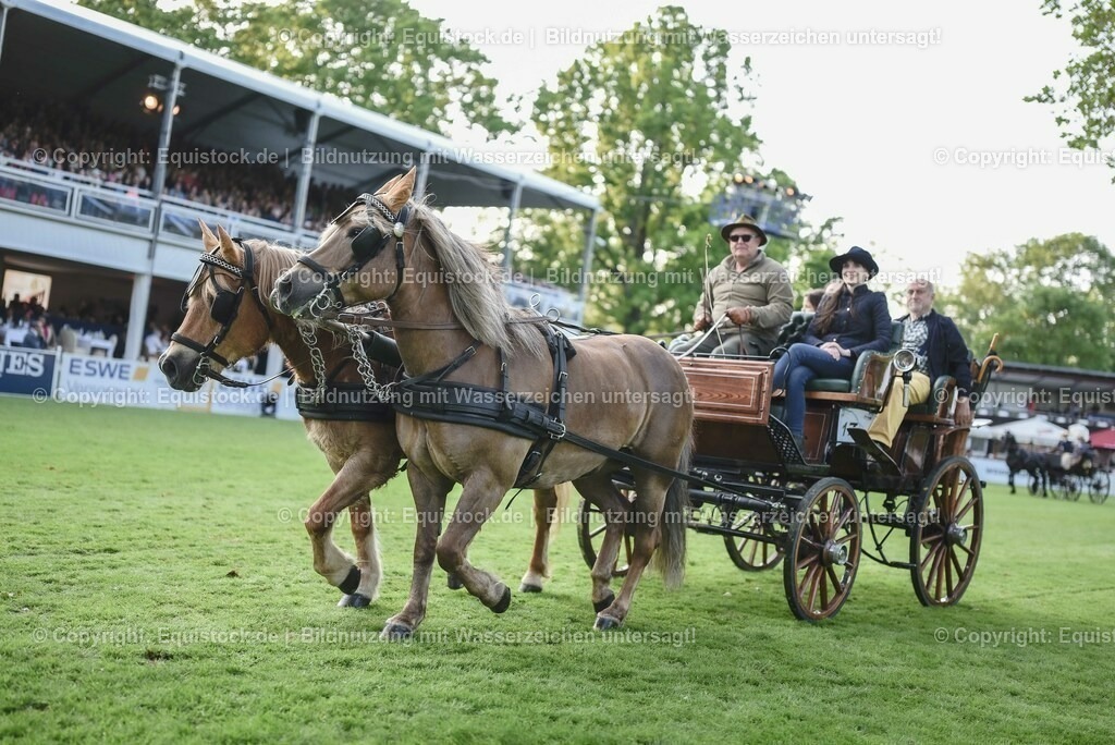 20230526_Pferdenacht_0199 | equistock