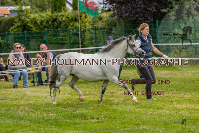 IG WELSH VM 2024-463 | mandyhollmannphotographie