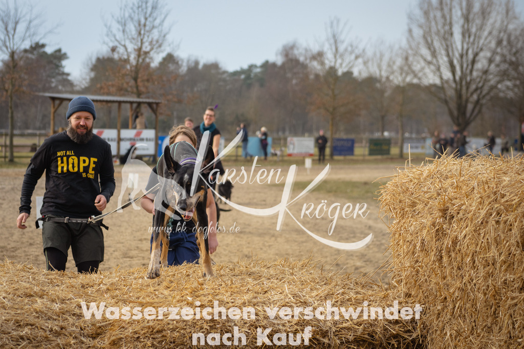 1040_ZZ97484 | kk-dogfotos