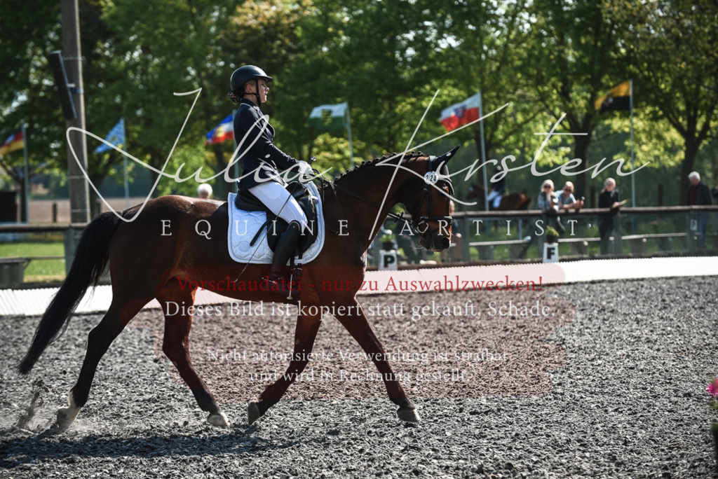 DSC_8882 | Pferde- und Turnierfotografie in Westsachsen. Pferdeportraits, Auftragszeichnungen und intuitive Kunst.