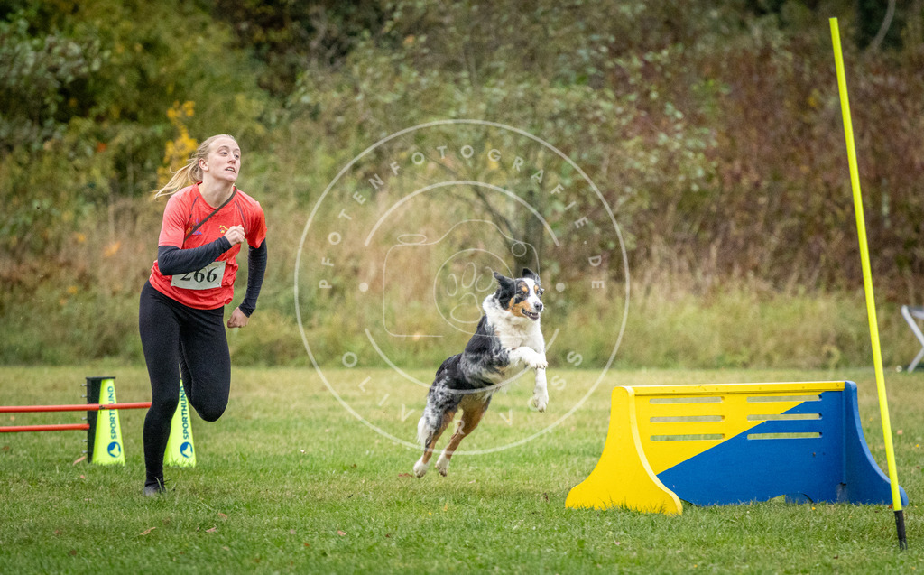 Pfotenfotografie_DV3A1161 | Hundefotografie, Tierfotograf, Pfotenfotografie, Fotoshooting Hund, Hunde Portrait, Hundesport, Hundeportraits, Heideshooting, Hunde, Sportfotograf, Hundefotograf, Turnierhundsport, THS,  - Realisiert mit Pictrs.com