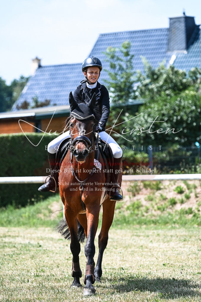 DSC_9872 | Pferde- und Turnierfotografie in Westsachsen. Pferdeportraits, Auftragszeichnungen und intuitive Kunst.