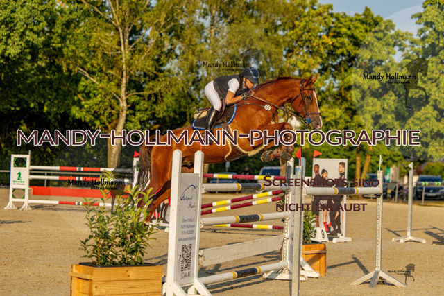 26-7-25 SPR S-232 | mandyhollmannphotographie