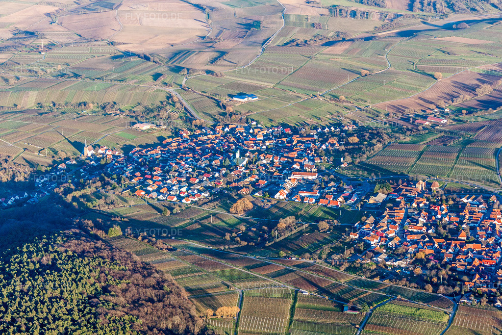 Luftbild: Weinbergen und Wald in Rechtenbach im Ortsteil Rechtenbach in Schweigen-Rechtenbach im Bundesland Rheinland-Pfalz in Deutschland. Foto: IMG_61916.jpg vom 28.01.2014 durch Werner Riehm/FLY-FOTO.de