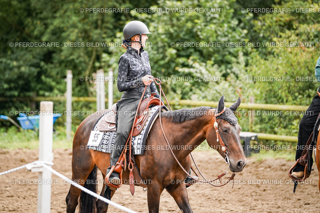 DSC04817 | Pferdegrafie