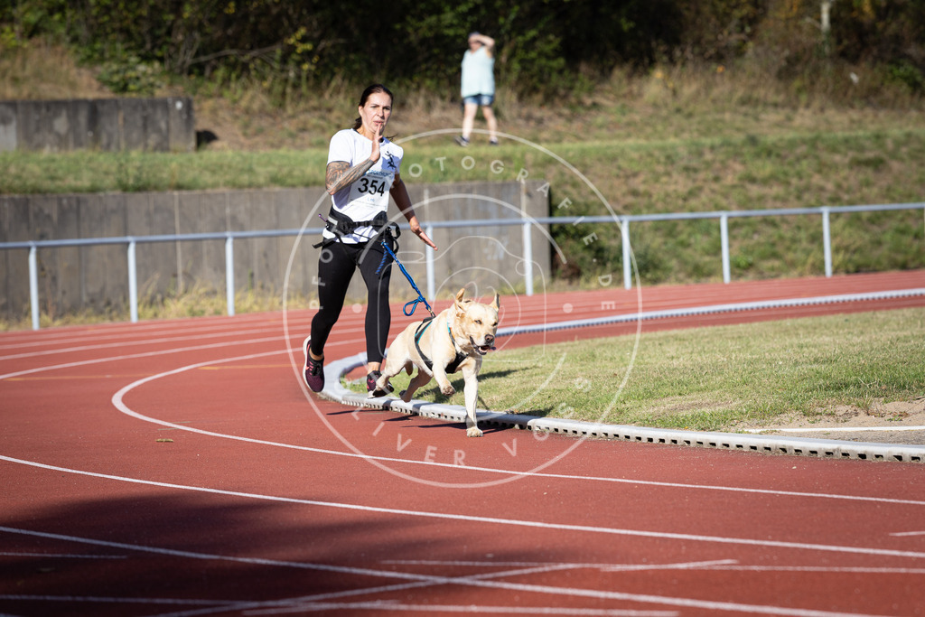Pfotenfotografie_DV3A9859 | Hundefotografie, Tierfotograf, Pfotenfotografie, Fotoshooting Hund, Hunde Portrait, Hundesport, Hundeportraits, Heideshooting, Hunde, Sportfotograf, Hundefotograf, Turnierhundsport, THS,  - Realisiert mit Pictrs.com