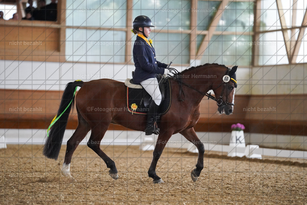 20240825-FAH09663 | Turnierbilder, Reitsportfotos, LAPO, Landesponyturnier, Turnierfotografen Bayern