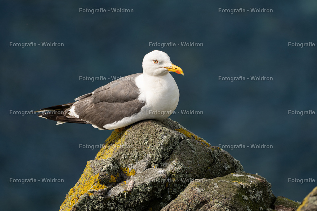 20230815 Isle of Sky - St.Andrews - Dundee-83 | Fotografie Woldron