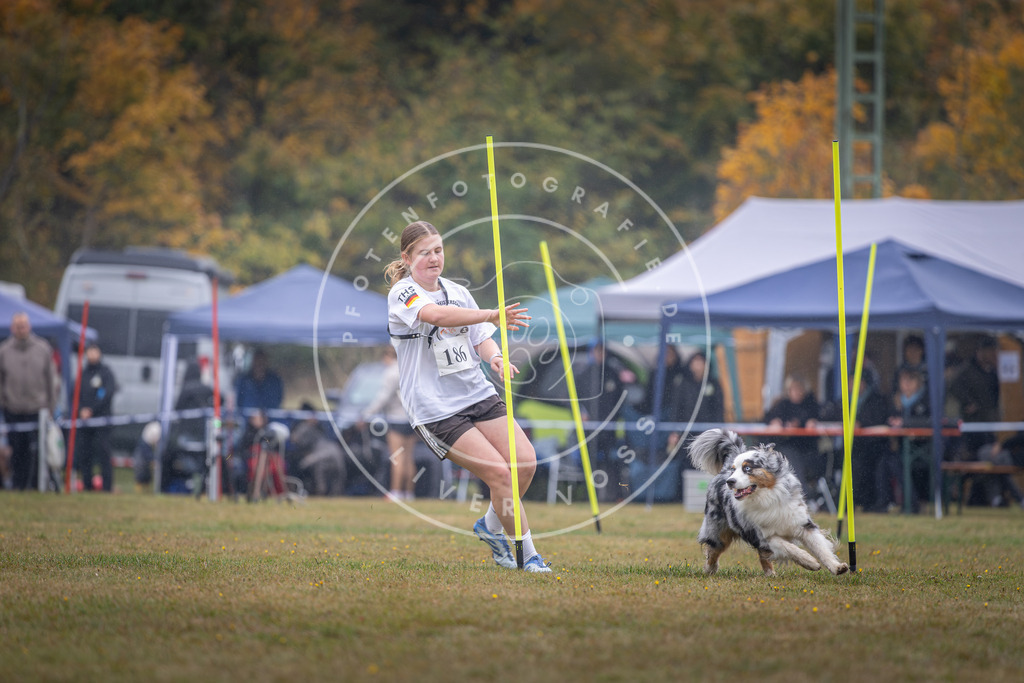 Pfotenfotografie_DV3A0107 | Hundefotografie, Tierfotograf, Pfotenfotografie, Fotoshooting Hund, Hunde Portrait, Hundesport, Hundeportraits, Heideshooting, Hunde, Sportfotograf, Hundefotograf, Turnierhundsport, THS,  - Realisiert mit Pictrs.com