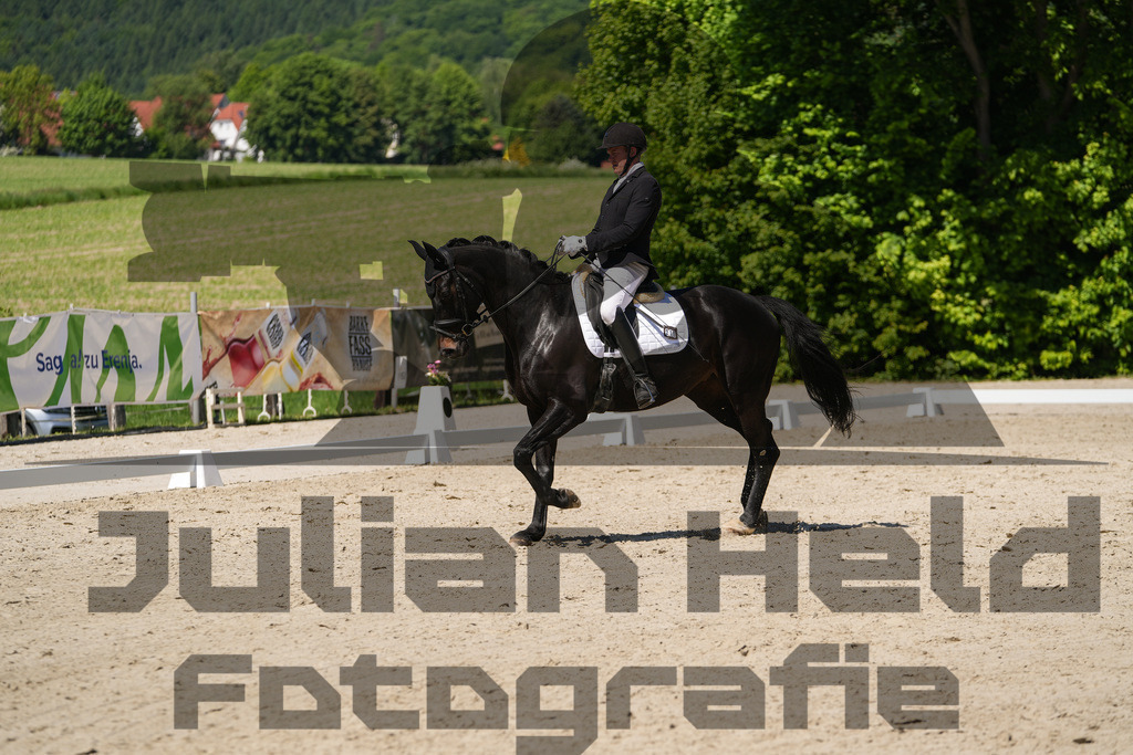 DSC00399 | Julian Held Fotografie - Realisiert mit Pictrs.com