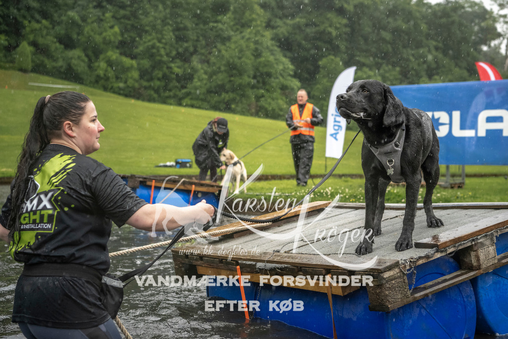1334_ZZ99171 | kk-dogfotos