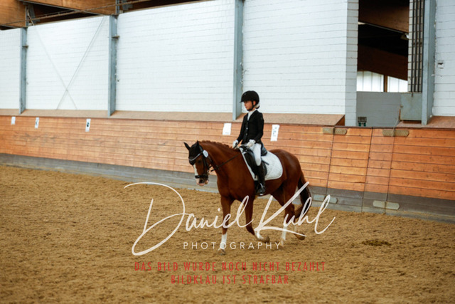 _62_6378 | Turniersportfotografie; Pferdefotografie; Dressurfotografie