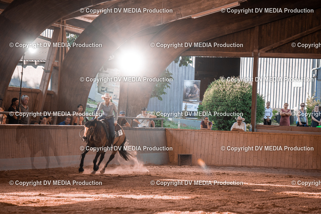 NE201352 | dv-media-shop - Realisiert mit Pictrs.com