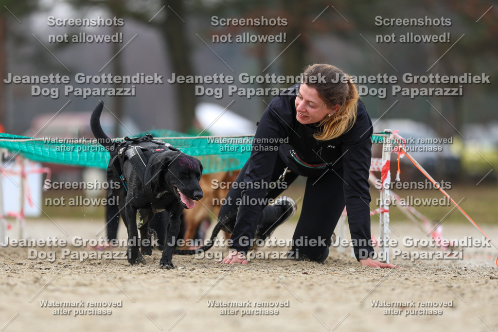 Dog Paparazzi - Strongdog North Mrz26-4549 | Dog Paparazzi Jeanette Grottendiek Fotografie & Videografie - Realisiert mit Pictrs.com