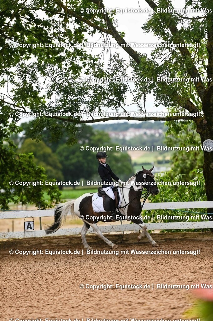 20230716_10-2_Reiter-WB Schritt - Trab - Galopp_0162 | equistock