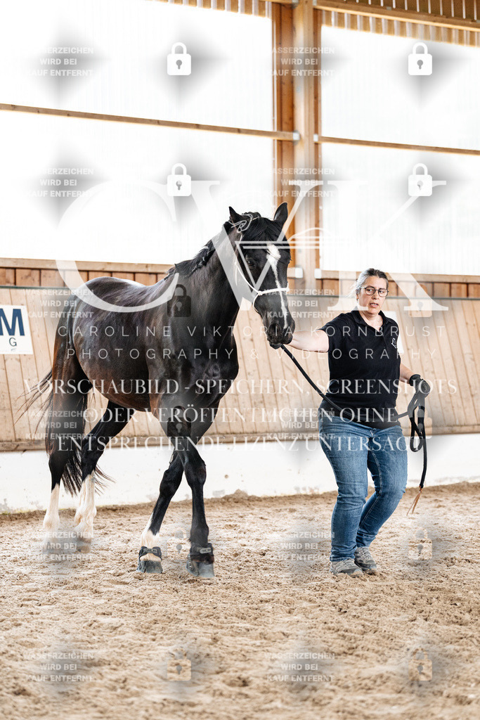 CK908028 | Turnierfotografie Pferdefotografie Trier Rheinland-Pfalz Pferdesport Reitsport Tierfotografie Sportfotografie Pferdevideo Pferdevideografie Equestrianvideography equestrianphotography  - Realisiert mit Pictrs.com