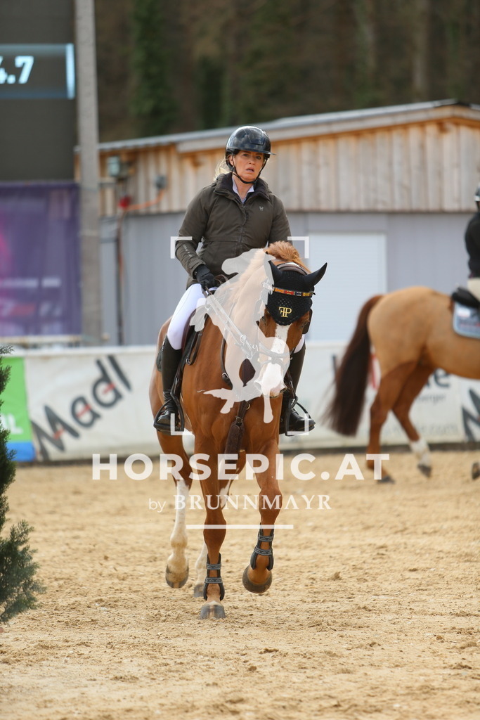DL2Q9279 | Willkommen bei Brunnmayr - Design & Fotografie – Ihrem Spezialisten für Reitturniere und Pferdeveranstaltungen in Oberösterreich, Salzburg und Bayern! Seit über 17 Jahren sind wir leidenschaftlich dabei.