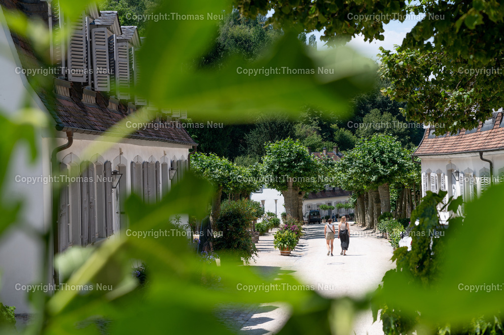 DSC_6103 | Der Staatspark Fürstenlager in Bensheim Auerbach, an der hessischen Bergstraße- ist ein wunderschöner Landschaftspark nach englischen Vorbild. Es war die Sommerresidenz der Darmstädter Fürstenfamilie die hier das "einfache Landleben" genossen. Zu jeder Jahreszeit kann man das Fürstenlager als Ausflugsziel empfehlen. Im Herrenhaus ist eine Gastronomie untergebracht. Im Sommer findet auf der Bühne vor der großen Wiese ein Opern-Air statt, 
