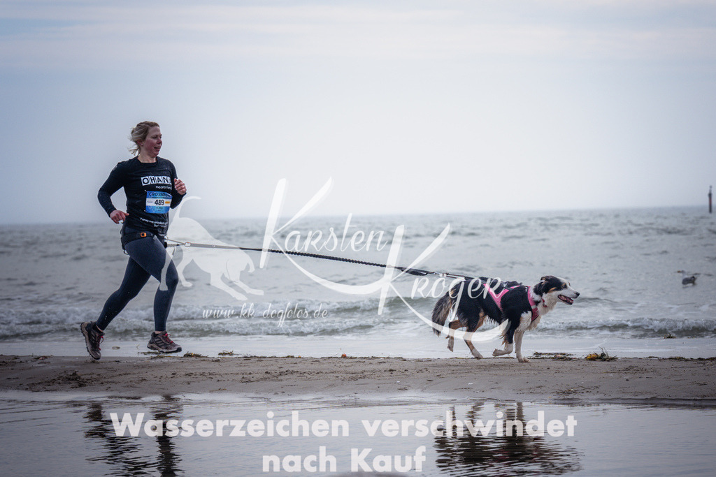 1138_ZZ99686 | kk-dogfotos