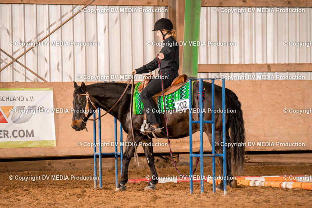 BA300584 | dv-media-shop - Realisiert mit Pictrs.com