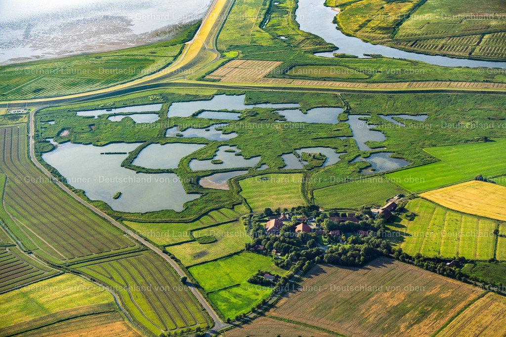 4038421 | Naturschutzgebiet Leyhörn an der Küste bei Greetsiel 07.08.2020 Tümpel- Wasserfläche und Teich- Oase in Hauen im Bundesland Niedersachsen, Deutschland. // Pond water surface and pond oasis in Hauen in the state Lower Saxony, Germany. Foto: Gerhard Launer