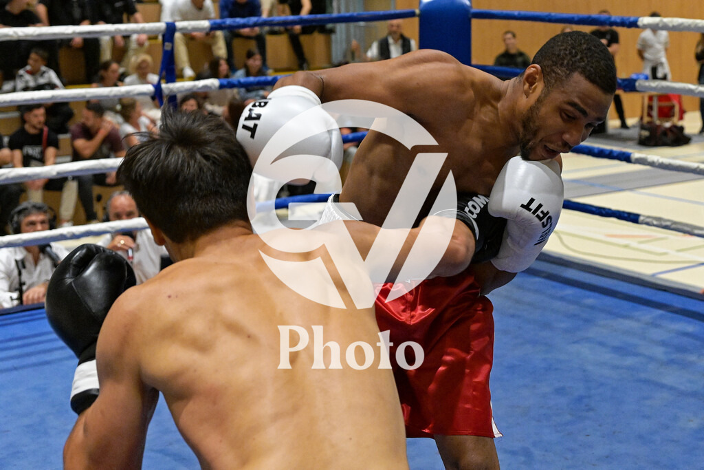 DSC_5038 | Velletri Photo