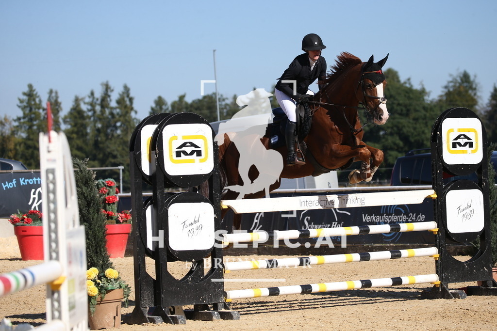 DL2Q3095 | Willkommen bei Brunnmayr - Design & Fotografie – Ihrem Spezialisten für Reitturniere und Pferdeveranstaltungen in Oberösterreich, Salzburg und Bayern! Seit über 17 Jahren sind wir leidenschaftlich dabei.