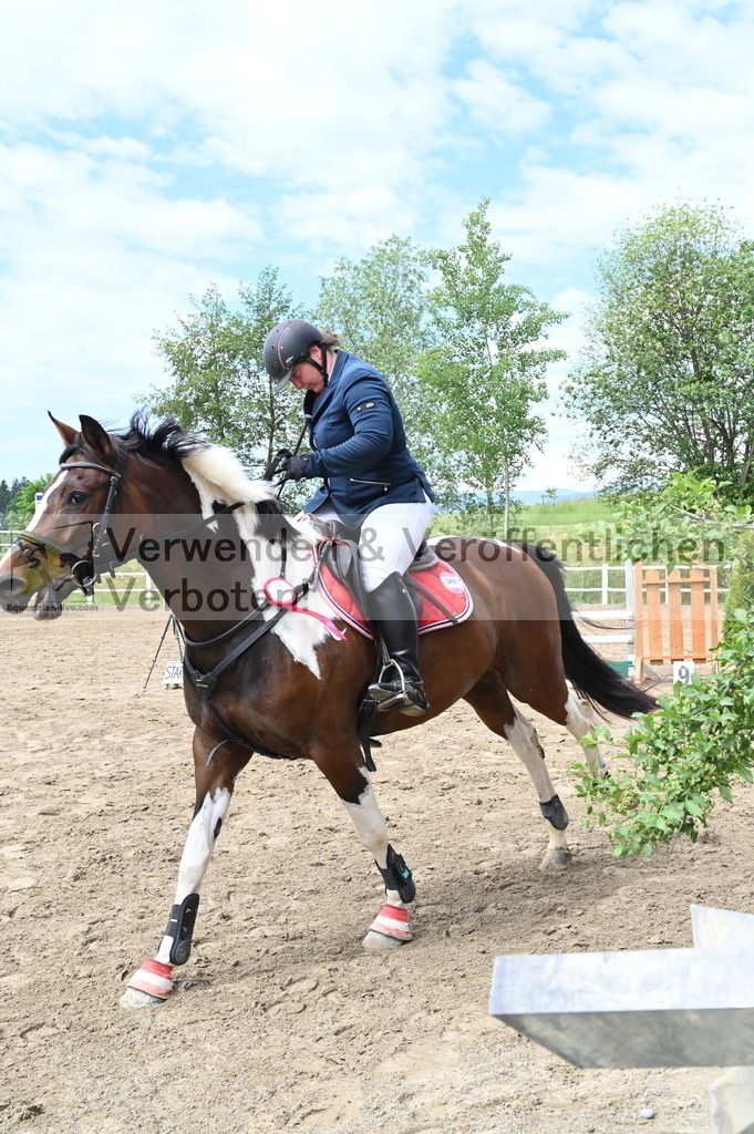 DSC_8303 | equestrian-live-com