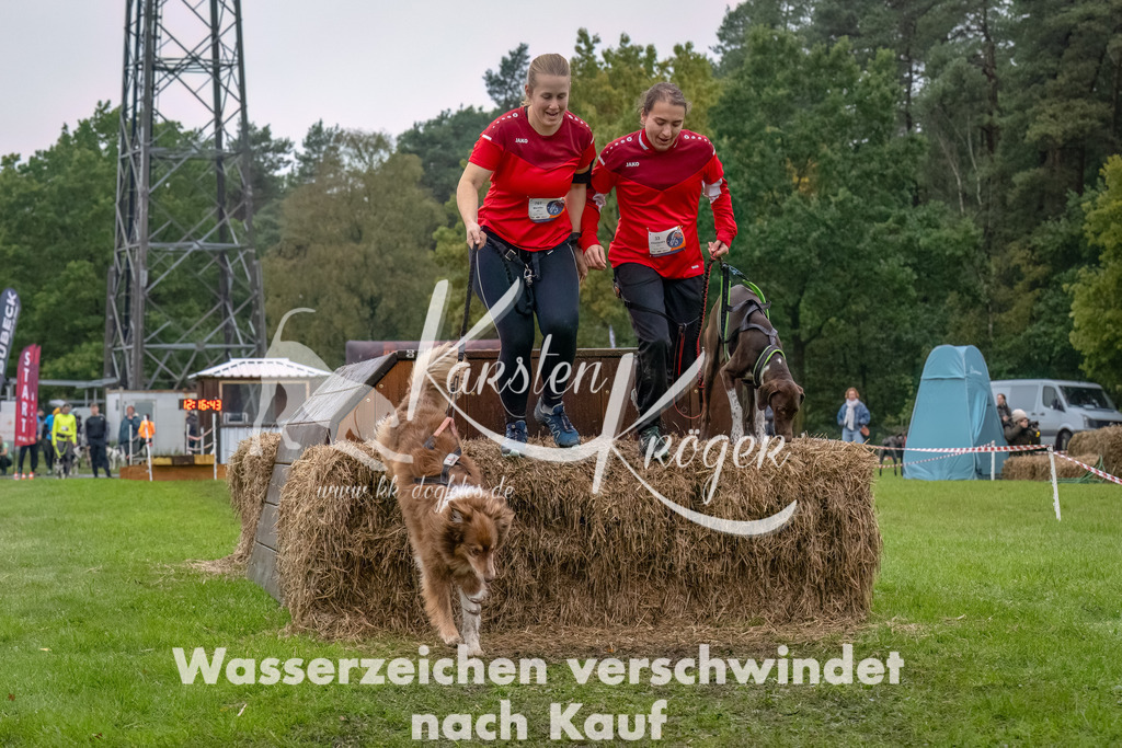 1218--4 | kk-dogfotos