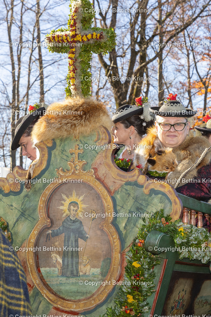 LBT25-909 | foto-bettina-krinner - Realisiert mit Pictrs.com