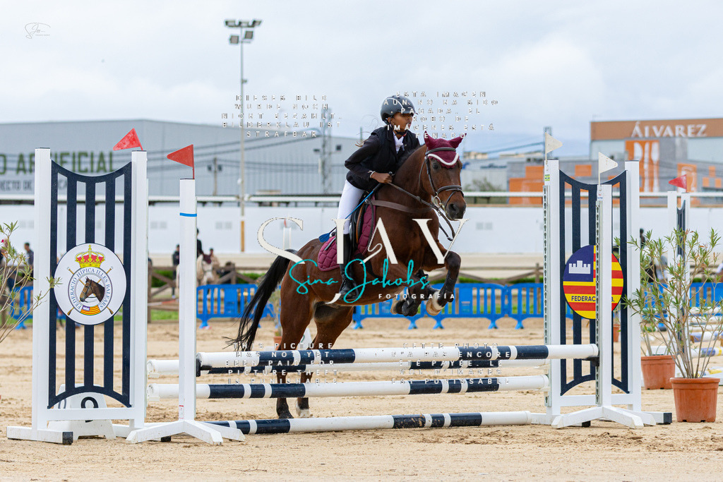 IMG_1362 | s-jay-photography - Realisiert mit Pictrs.com