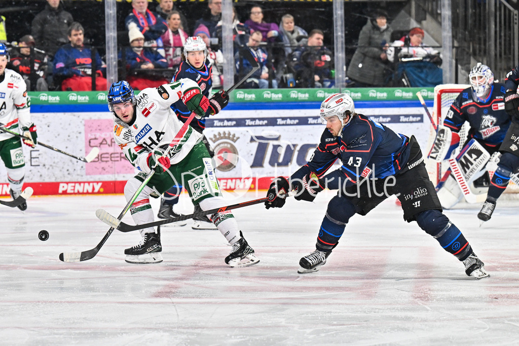 Nürnberg Ice Tigers - Augsburger Panther | NUREMBERG, GERMANY - 23. JANUARY: im Duell D. J. BUSDEKER (Augsburger Panther 14) und Greg MEIRELES (Nürnberg Ice Tigers 43) während dem Match zwischen den Nürnberg Ice Tigers und den Augsburger Panthern am 42. Spieltag der Penny DEL in der PSD Bank Nürnberg Arena