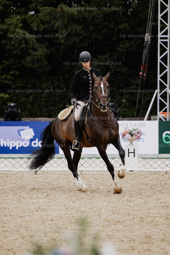 Virginie12FHC2025-24566 | working equitationturnier fotograf videograf stoibphotography marixx film working equitation deutschland reitsport turnierfotografie eventfotografie equestrian events