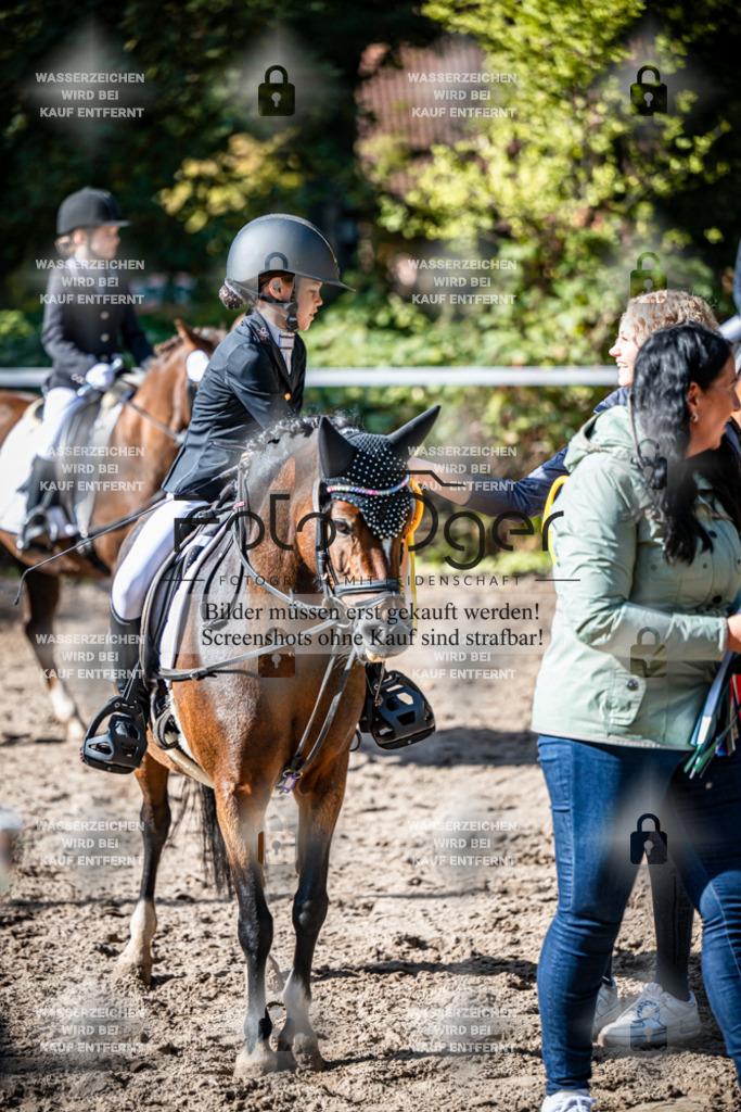2026-10-Helle-20-4-0050 | Entdecke hochwertige Reitturnierfotos von Foto Oger. Professionell, emotional und authentisch – jetzt Lieblingsmomente im Shop bestellen.Deutschlandweite Turnierfotografie. - Realisiert mit Pictrs.com