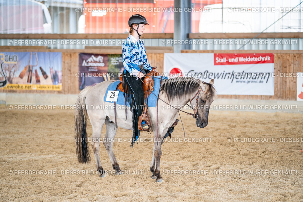 DSC09557 | Pferdegrafie