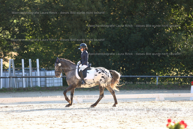HG9A8194 | laurarinckfotografie - Realisiert mit Pictrs.com