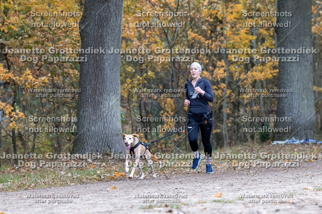 Dog Paparazzi - SD CaniX Championship 2025-533 | Dog Paparazzi Jeanette Grottendiek Fotografie & Videografie - Realisiert mit Pictrs.com