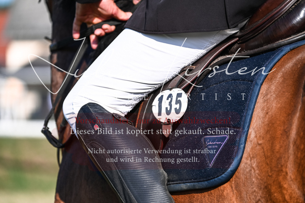 DSC_7459 | Pferde- und Turnierfotografie in Westsachsen. Pferdeportraits, Auftragszeichnungen und intuitive Kunst.
