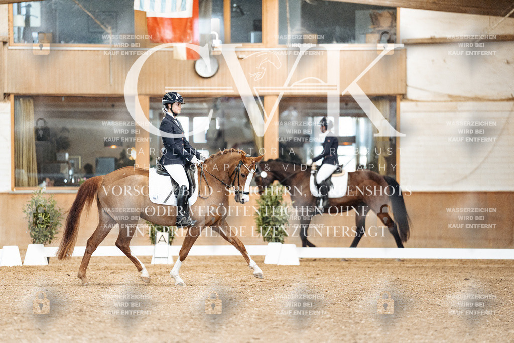 CK900814 | Turnierfotografie Pferdefotografie Trier Rheinland-Pfalz Pferdesport Reitsport Tierfotografie Sportfotografie Pferdevideo Pferdevideografie Equestrianvideography equestrianphotography  - Realisiert mit Pictrs.com