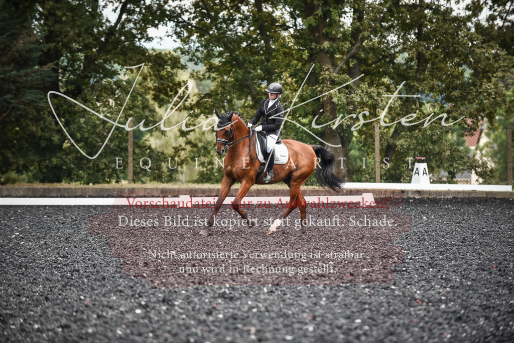 DSC_4997 | Pferde- und Turnierfotografie in Westsachsen. Pferdeportraits, Auftragszeichnungen und intuitive Kunst.