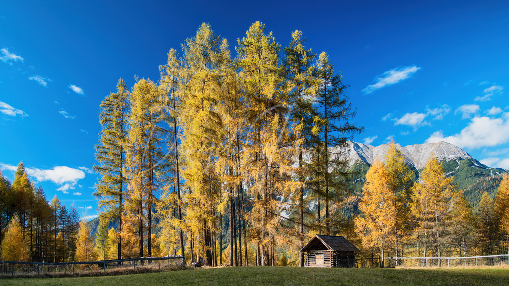 DSC05912 | Professioneller Fotograf - Bildbestellung online - Wandbilder vom Profi für ihr Zuhause, Büro, Praxis, Firma - große Auswahl an Materialien und Formaten, über 1400 regionale Motive