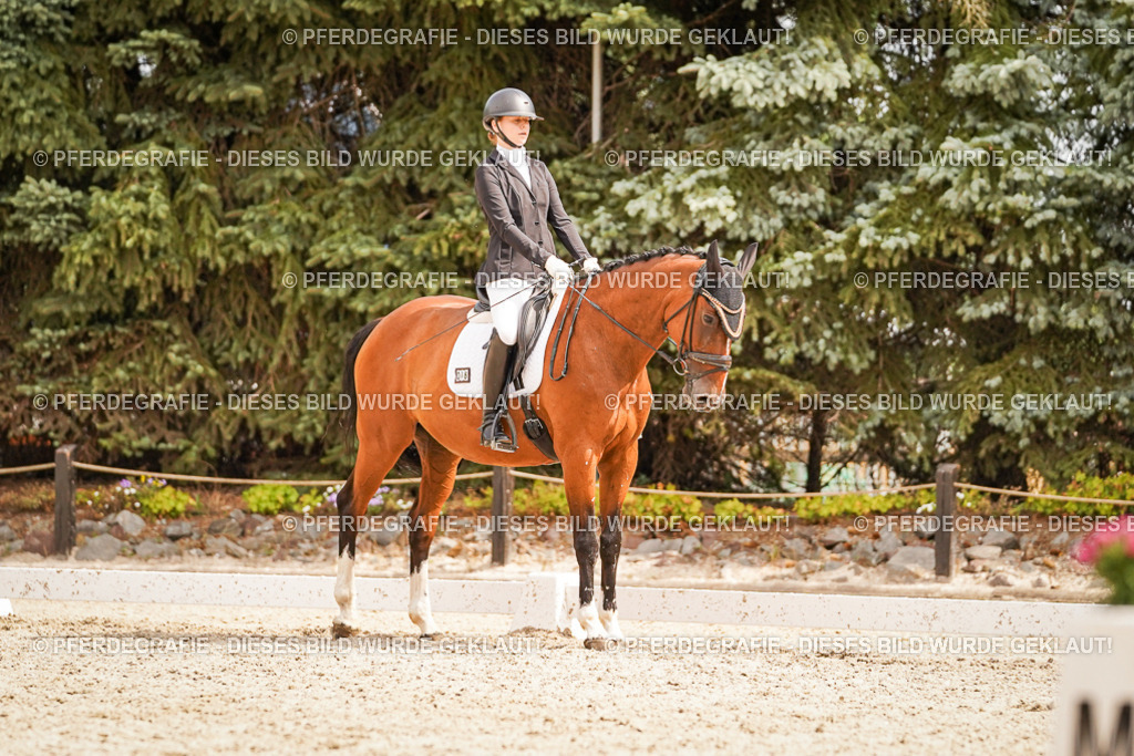 DSC01857 | Pferdegrafie