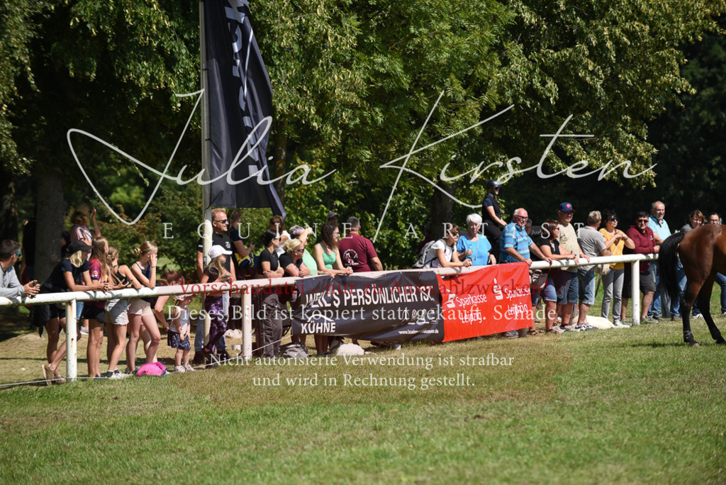 DSC_0273 | Pferde- und Turnierfotografie in Westsachsen. Pferdeportraits, Auftragszeichnungen und intuitive Kunst.