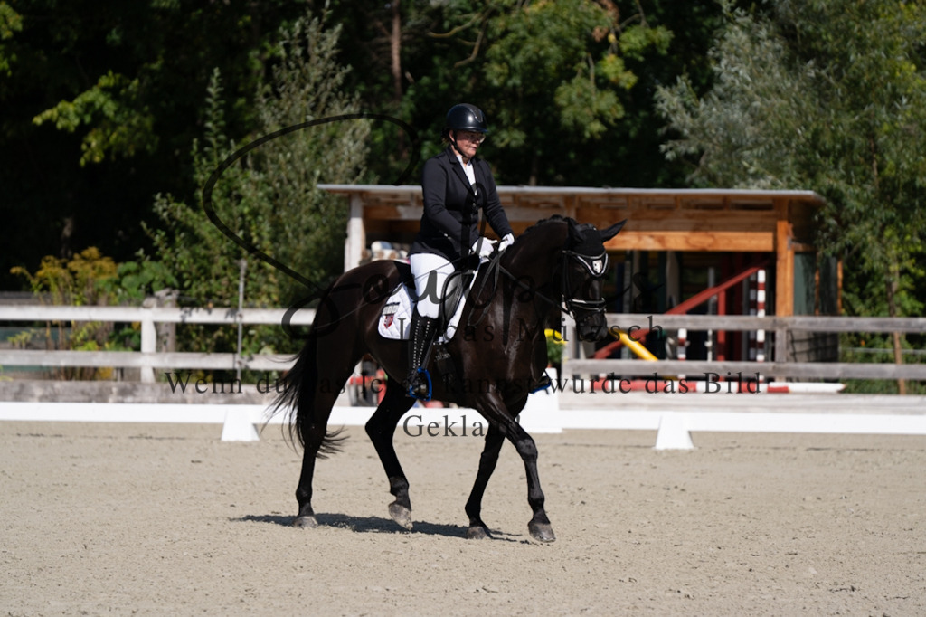 A7V07069 | Turnier/Reitfotograf