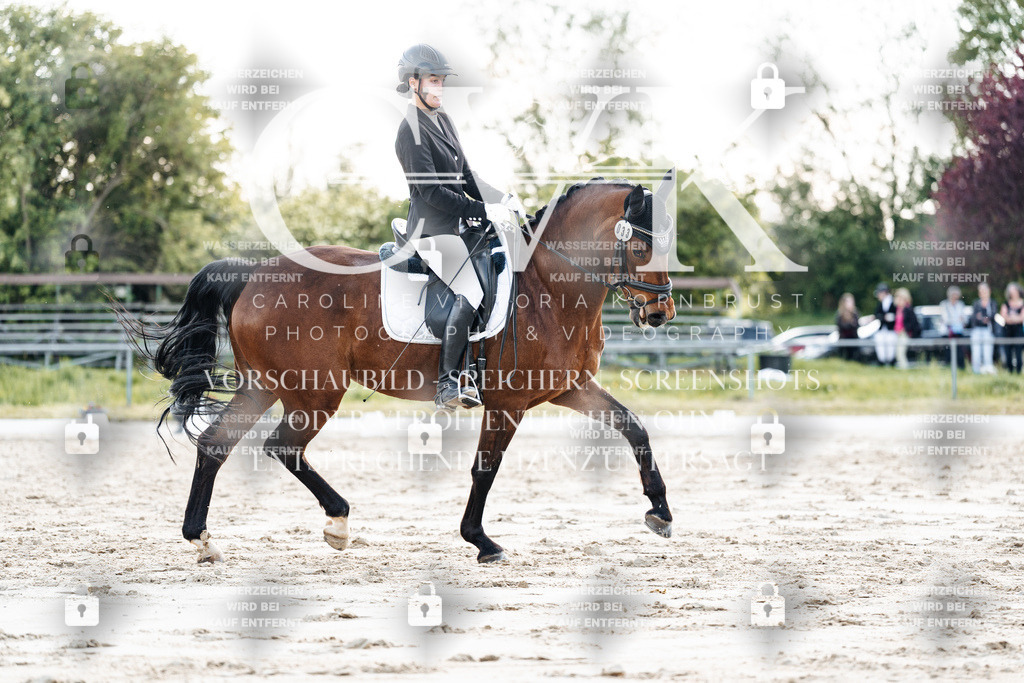 CK909834 | Turnierfotografie Pferdefotografie Trier Rheinland-Pfalz Pferdesport Reitsport Tierfotografie Sportfotografie Pferdevideo Pferdevideografie Equestrianvideography equestrianphotography  - Realisiert mit Pictrs.com